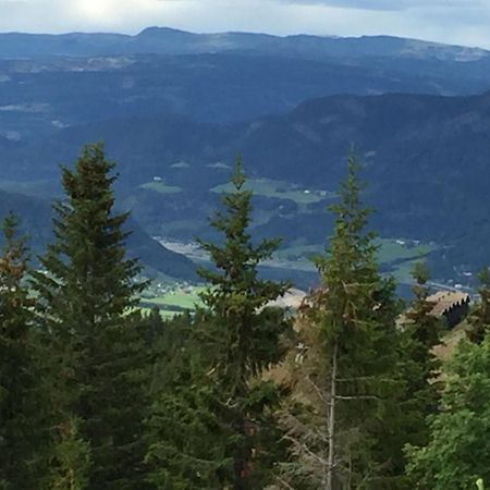 Ski And Bike-In And Out Hafjell Rom bilde