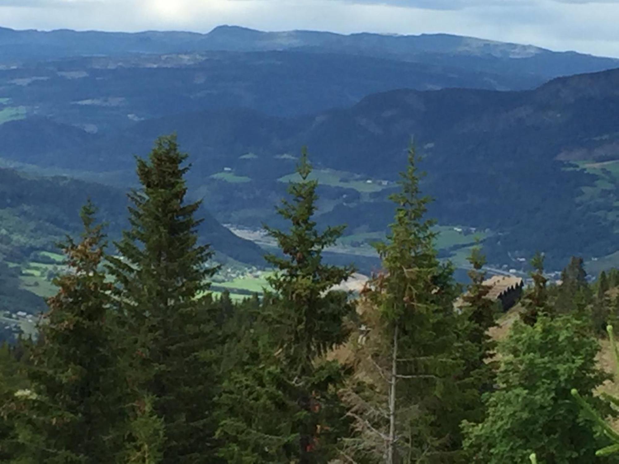 Ski And Bike-In And Out Hafjell Rom bilde